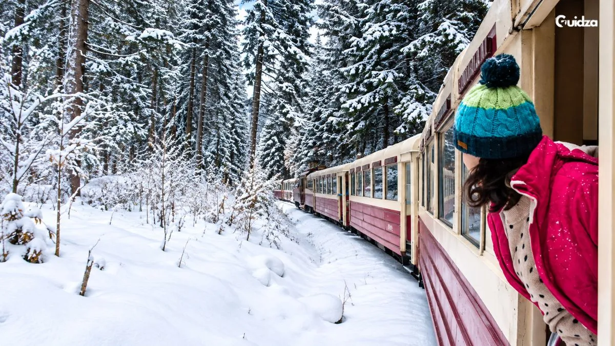 Georgia Experiences